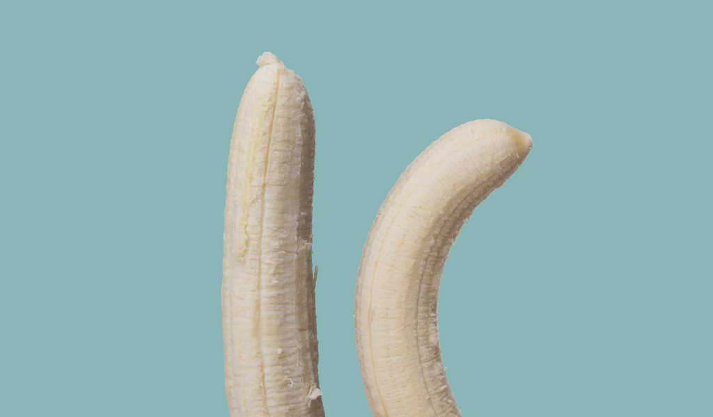 A straight and curved banana on blue background, resembling penises