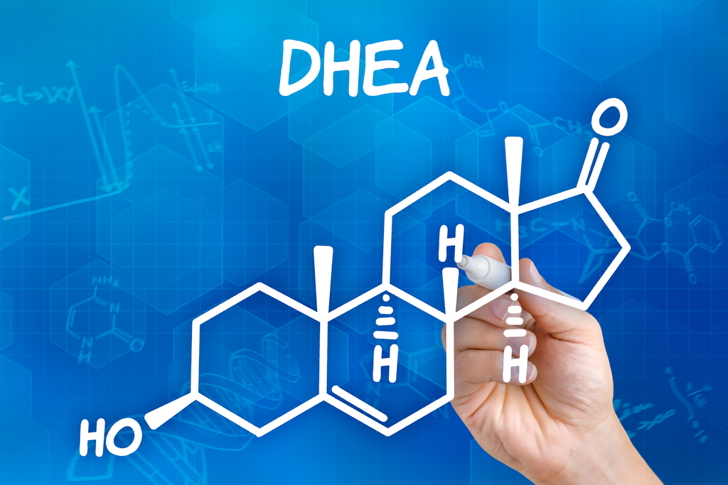 Drawing of DHEA chemical composition.